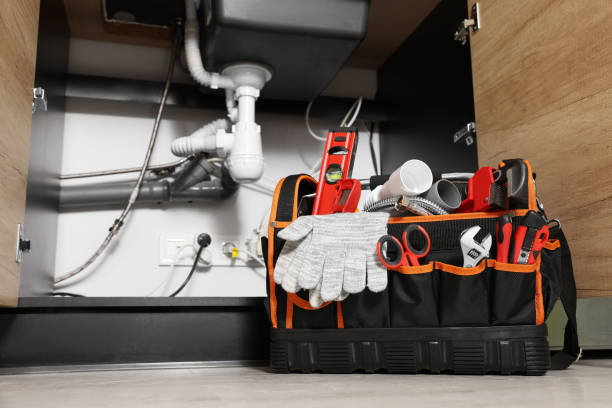 Best Plumbing Inspection Services  in Perezville, TX