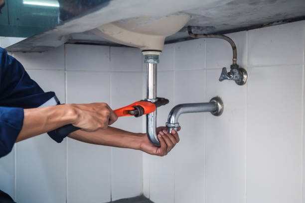 Best Clogged Drain Plumber  in Perezville, TX