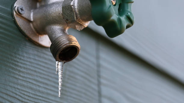 Best Leak Detection Services  in Perezville, TX