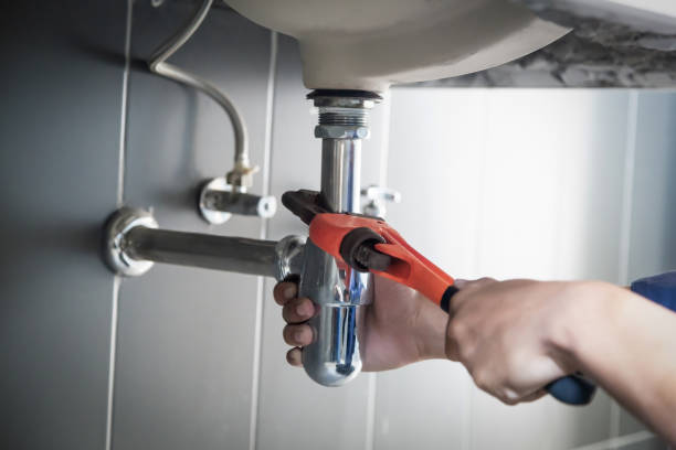 Best Local Plumber Services  in Perezville, TX